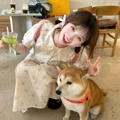 杨光的快乐生活之恋爱先生